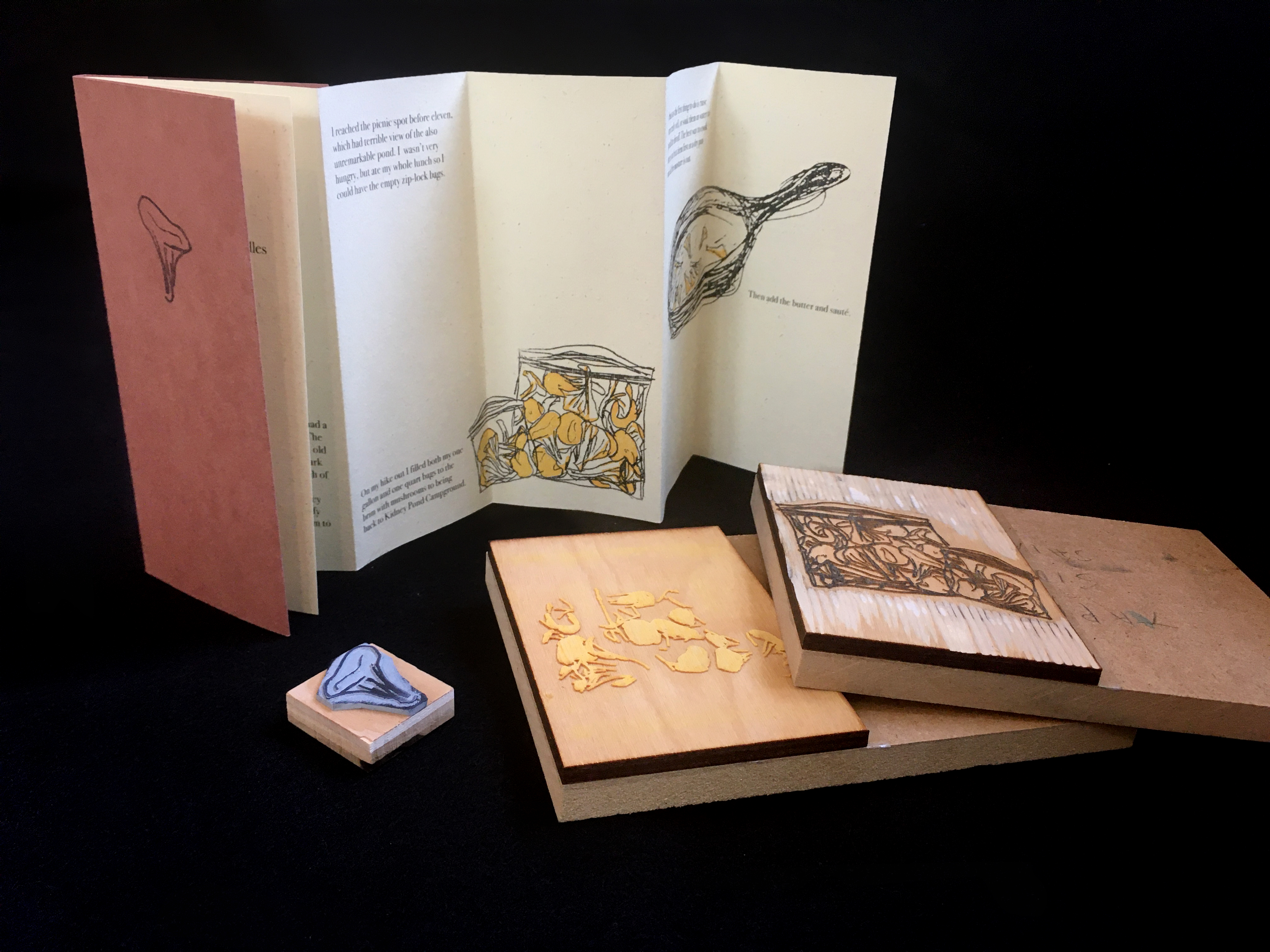 accordion book with text and line illustrations, and laser cut blocks that the illustrations were printed from