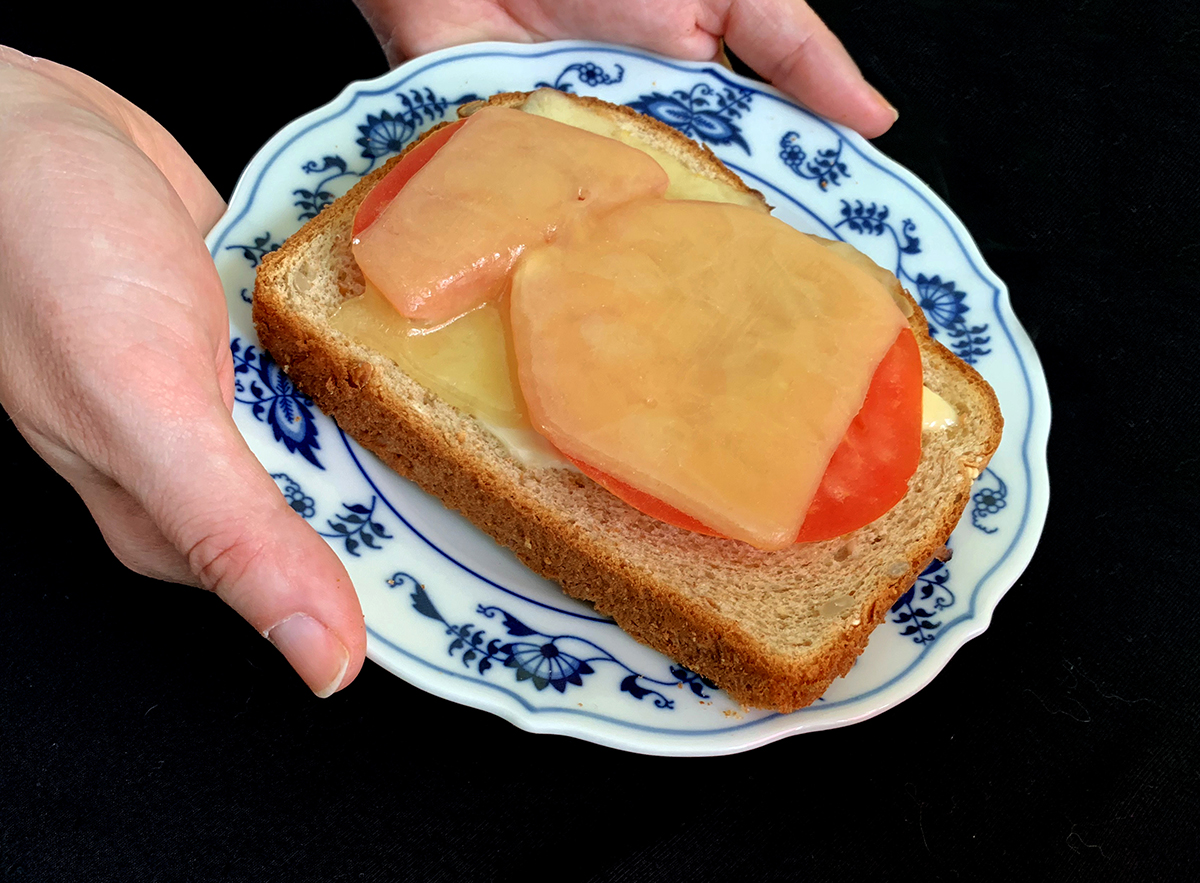 hands holding out a plate with a open face tomato and cheese sandwich